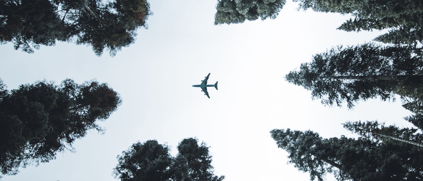 tasa verde aerolineas asociacion lineas aereas ala