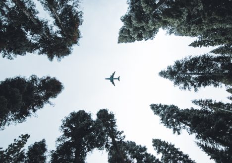 tasa verde aerolineas asociacion lineas aereas ala